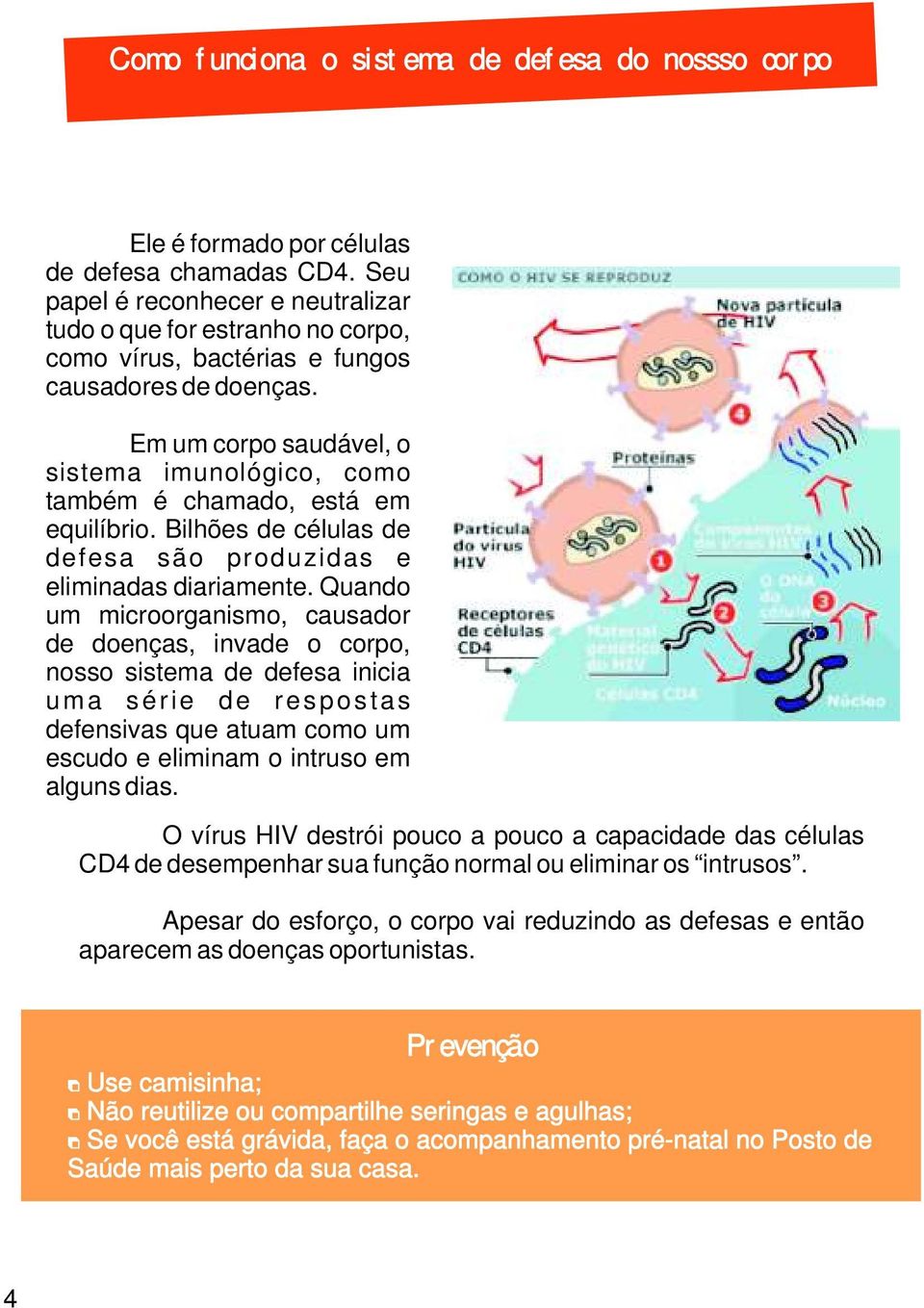 Em um corpo saudável, o sistema imunológico, como também é chamado, está em equilíbrio. Bilhões de células de defesa são produzidas e eliminadas diariamente.