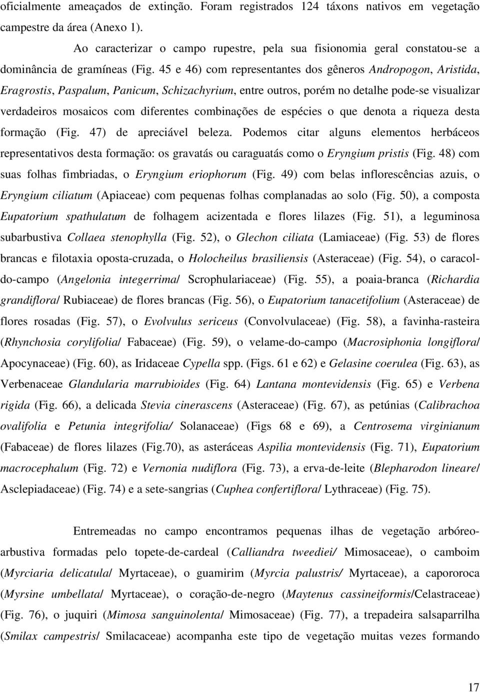 45 e 46) com representantes dos gêneros Andropogon, Aristida, Eragrostis, Paspalum, Panicum, Schizachyrium, entre outros, porém no detalhe pode-se visualizar verdadeiros mosaicos com diferentes