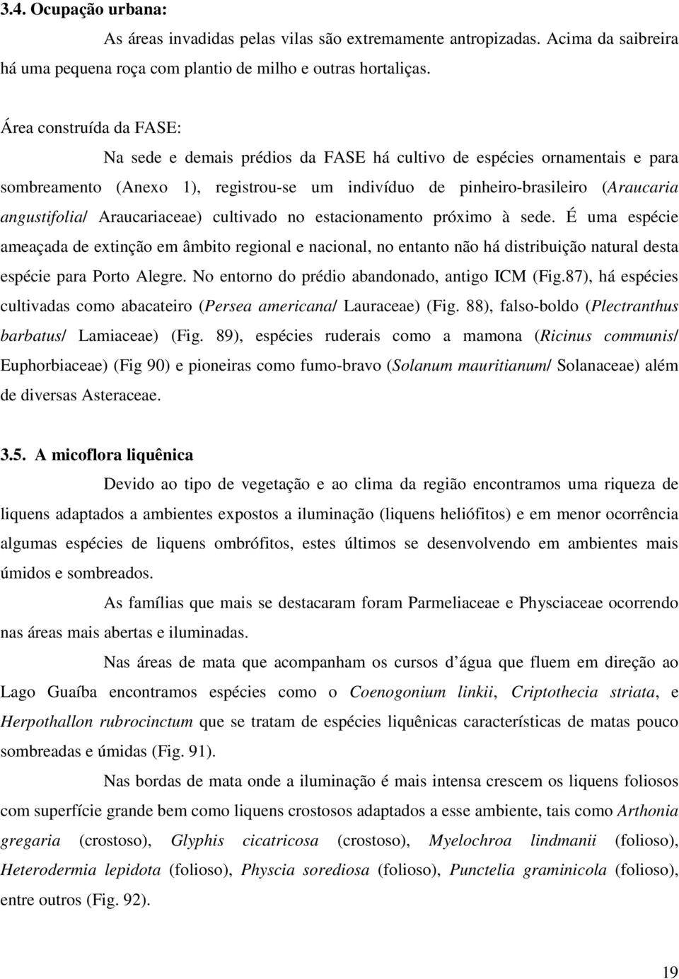 Araucariaceae) cultivado no estacionamento próximo à sede. É uma espécie ameaçada de extinção em âmbito regional e nacional, no entanto não há distribuição natural desta espécie para Porto Alegre.