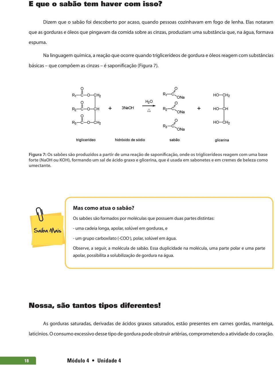 Na linguagem química, a reação que ocorre quando triglicerídeos de gordura e óleos reagem com substâncias básicas que compõem as cinzas é saponificação (Figura 7).