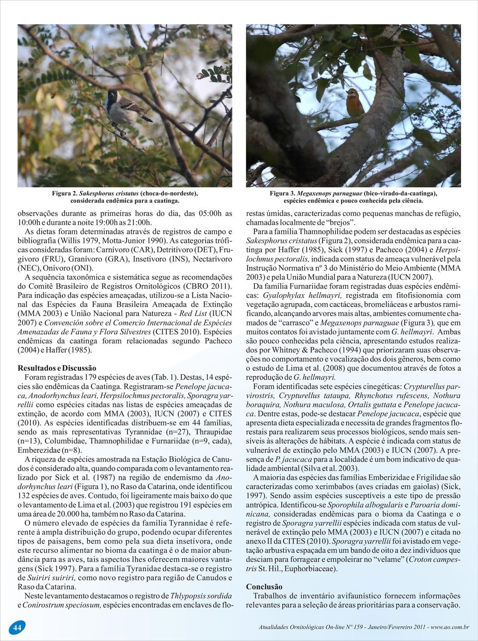 As dietas foram determinadas através de registros de campo e Para a família Thamnophilidae podem ser destacadas as espécies bibliografia (Willis 1979, Motta-Junior 1990).