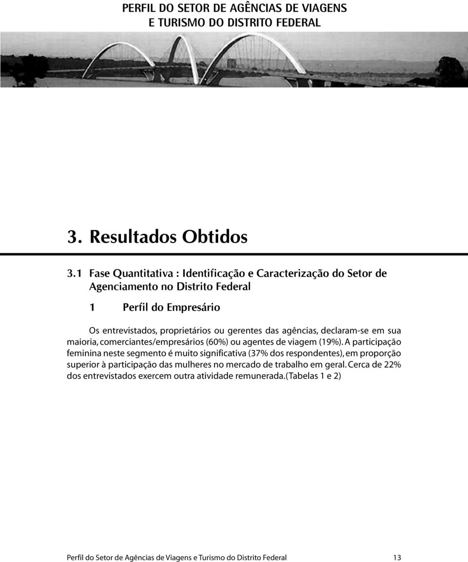 ou gerentes das agências, declaram-se em sua maioria, comerciantes/empresários (60%) ou agentes de viagem (19%).