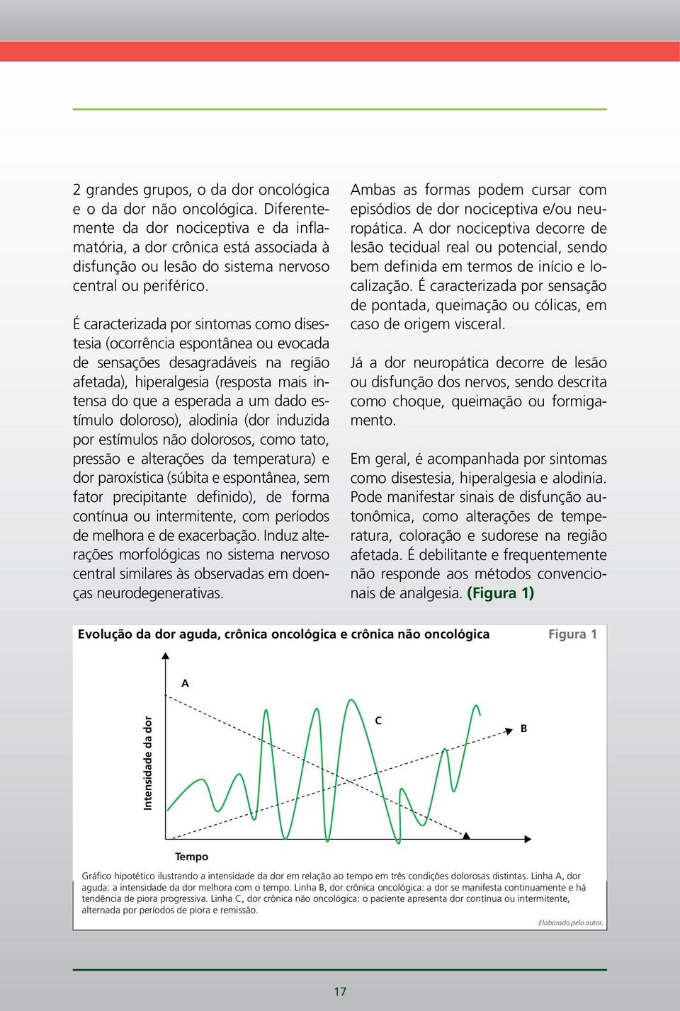 É caracterizada por sintomas como disestesia (ocorrência espontânea ou evocada de sensações desagradáveis na região afetada), hiperalgesia (resposta mais intensa do que a esperada a um dado estímulo