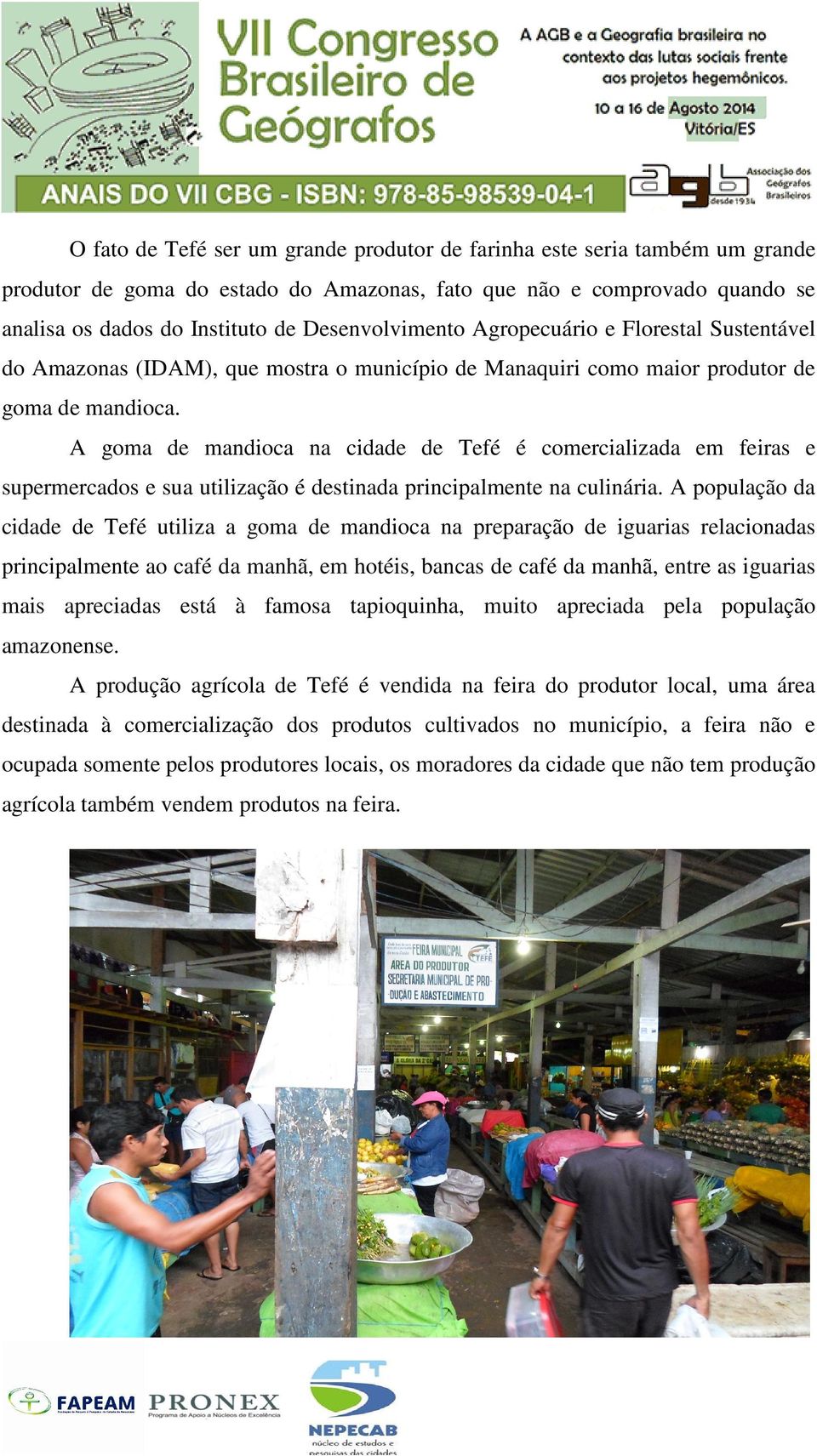 A goma de mandioca na cidade de Tefé é comercializada em feiras e supermercados e sua utilização é destinada principalmente na culinária.