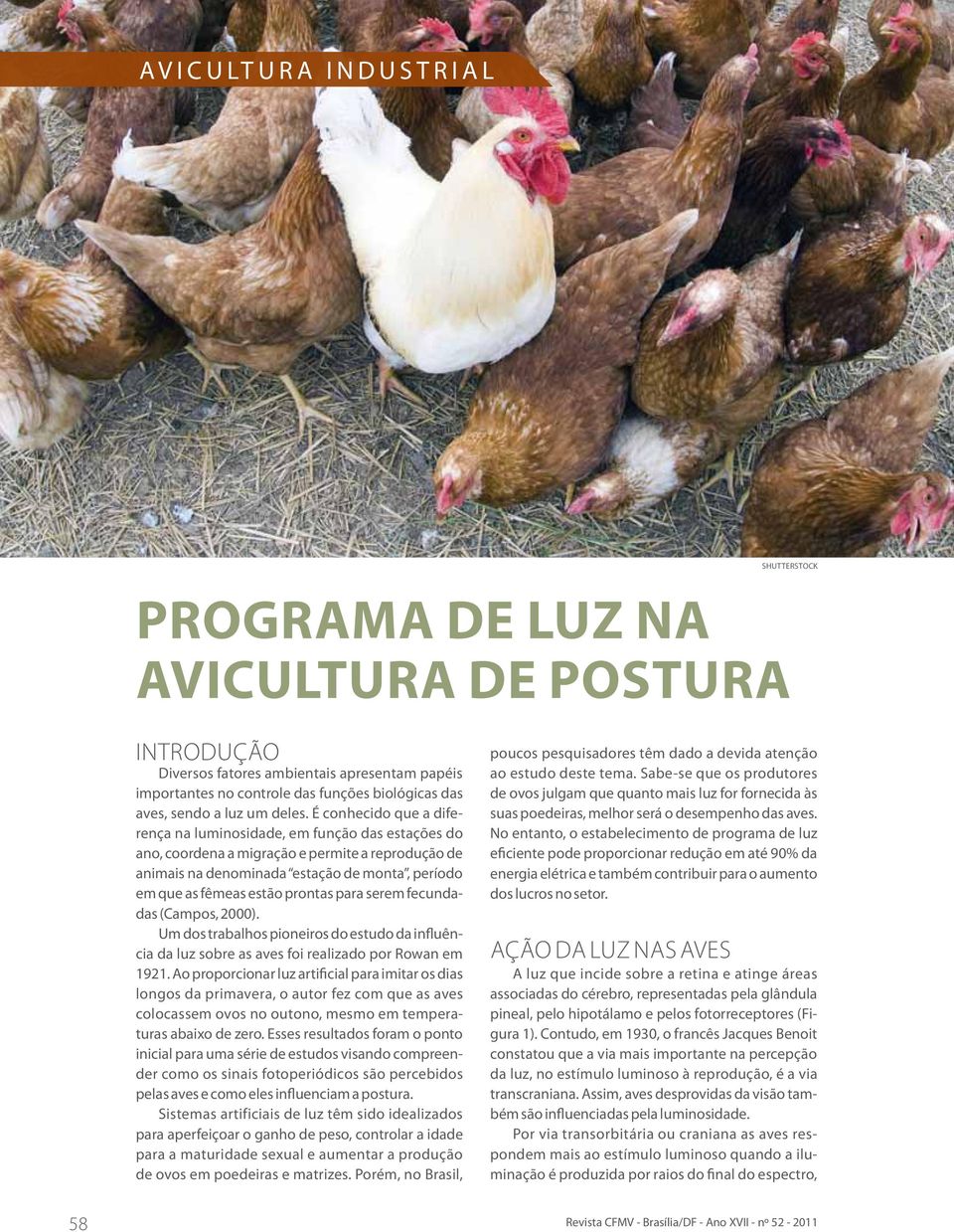 É conhecido que a diferença na luminosidade, em função das estações do ano, coordena a migração e permite a reprodução de animais na denominada estação de monta, período em que as fêmeas estão