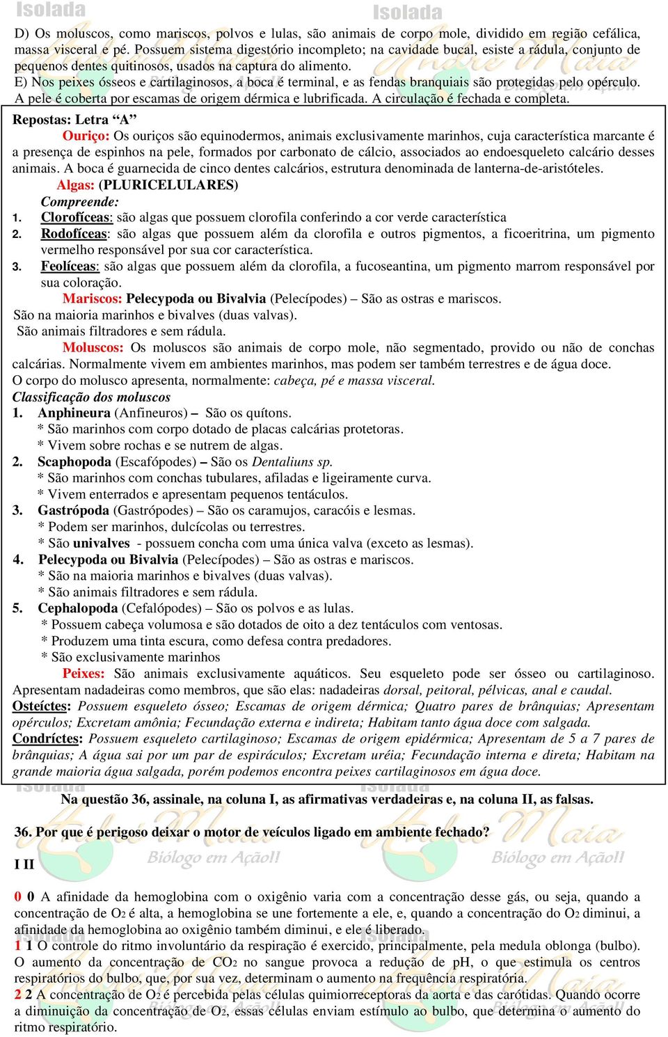 E) Nos peixes ósseos e cartilaginosos, a boca é terminal, e as fendas branquiais são protegidas pelo opérculo. A pele é coberta por escamas de origem dérmica e lubrificada.