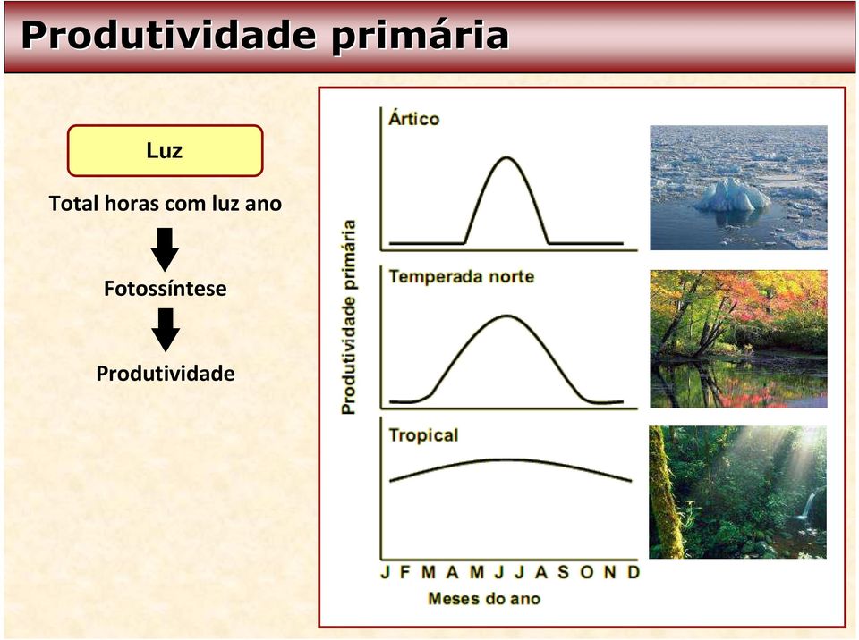 Total horas com luz