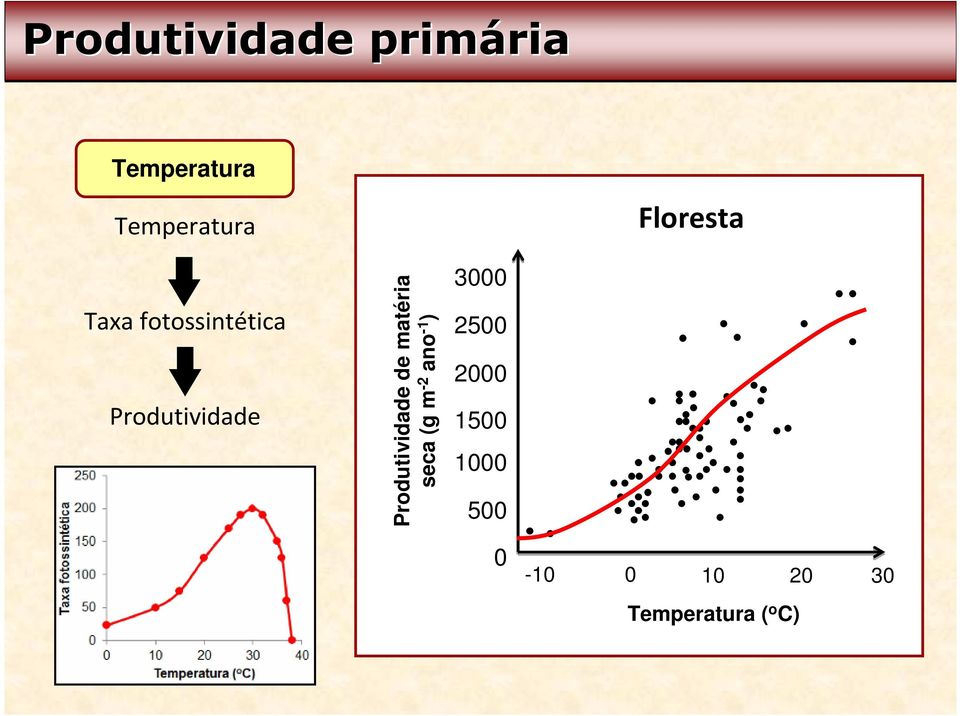 Produtividade de matéria seca (g m -2 ano -1 )