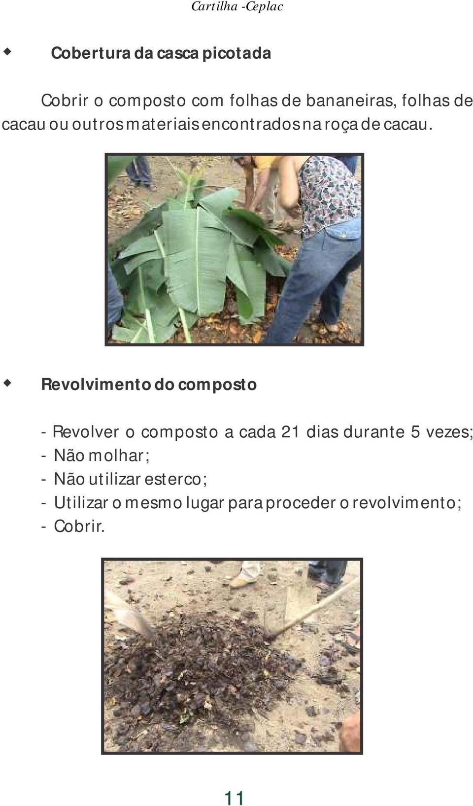 Revolvimento do composto - Revolver o composto a cada 21 dias durante 5 vezes; - Não