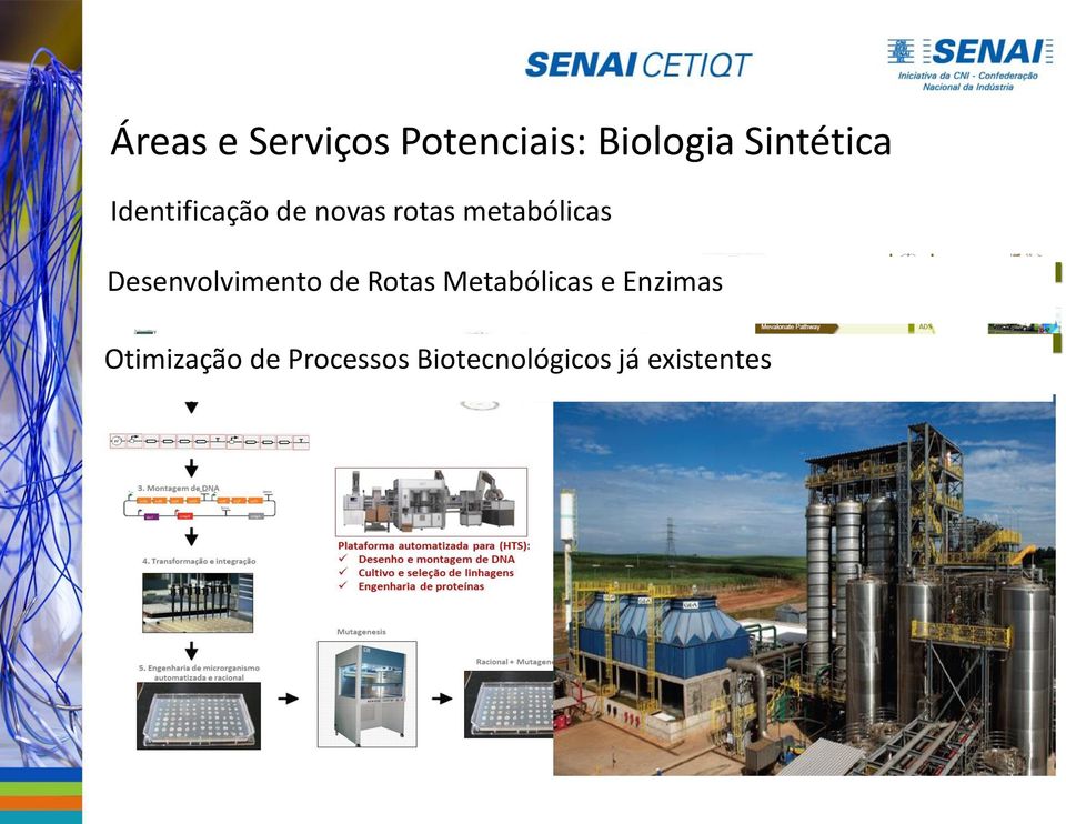 Desenvolvimento de Rotas Metabólicas e Enzimas