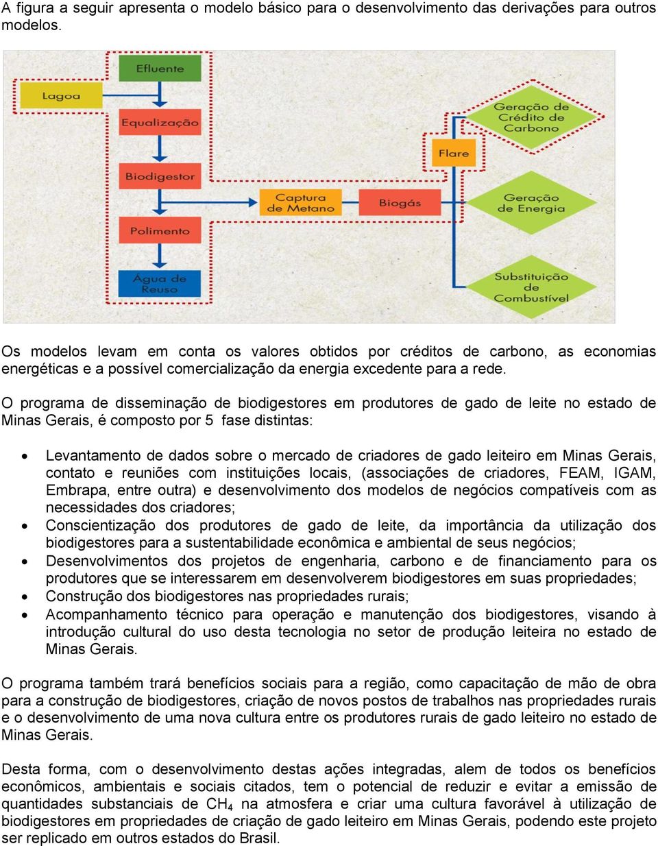 O programa de disseminação de biodigestores em produtores de gado de leite no estado de Minas Gerais, é composto por 5 fase distintas: Levantamento de dados sobre o mercado de criadores de gado