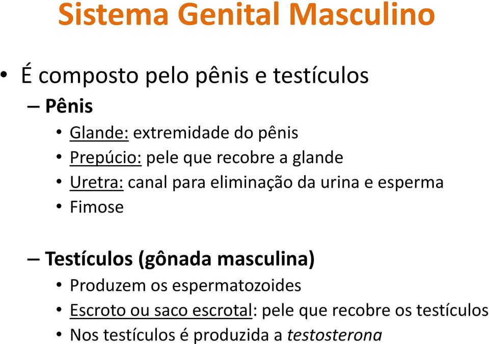 eliminação da urina e esperma Fimose Testículos (gônada masculina) Produzem os