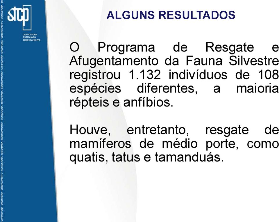 132 indivíduos de 108 espécies diferentes, a maioria répteis