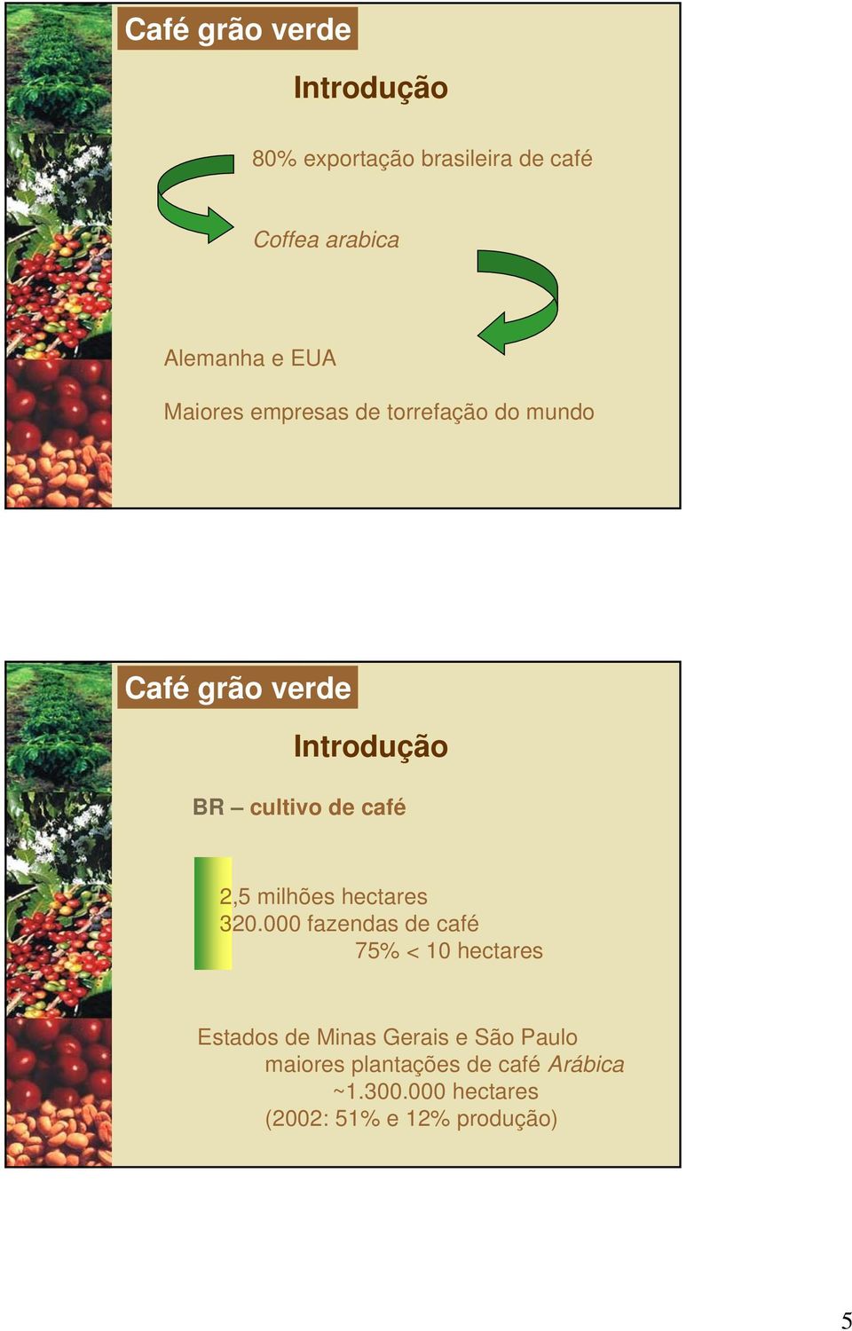 2,5 milhões hectares 320.