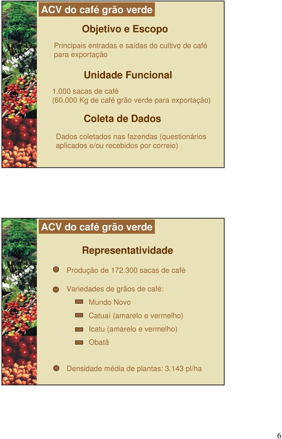 000 Kg de café grão verde para exportação) Coleta de Dados Dados coletados nas fazendas (questionários aplicados e/ou