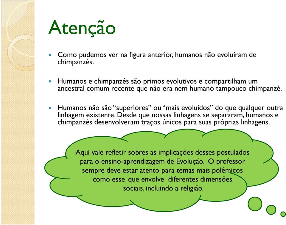 Humanos não são superiores ou mais evoluídos do que qualquer outra linhagem existente.