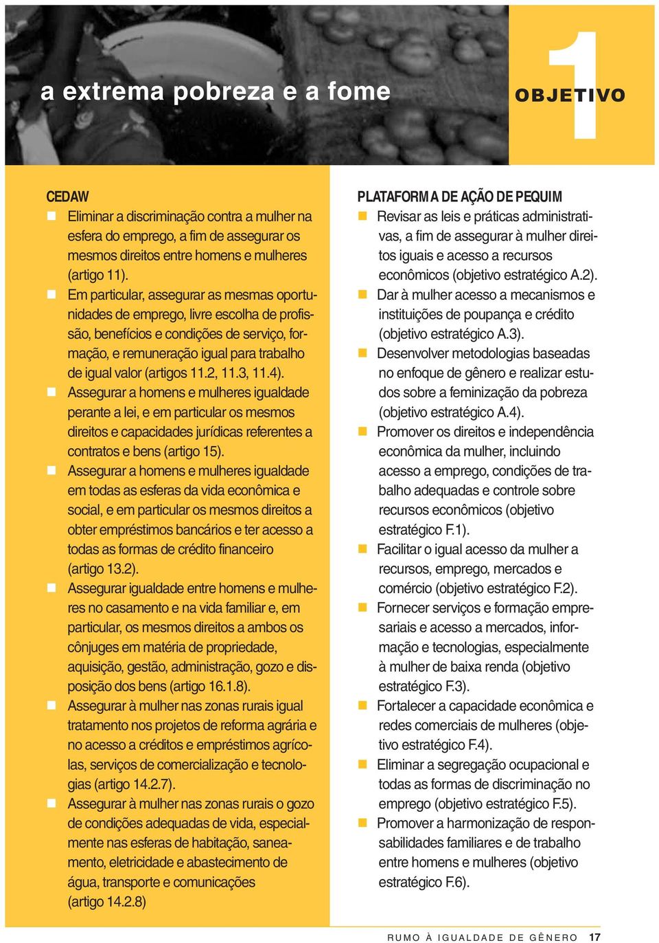 2, 11.3, 11.4). Assegurar a homens e mulheres igualdade perante a lei, e em particular os mesmos direitos e capacidades jurídicas referentes a contratos e bens (artigo 15).