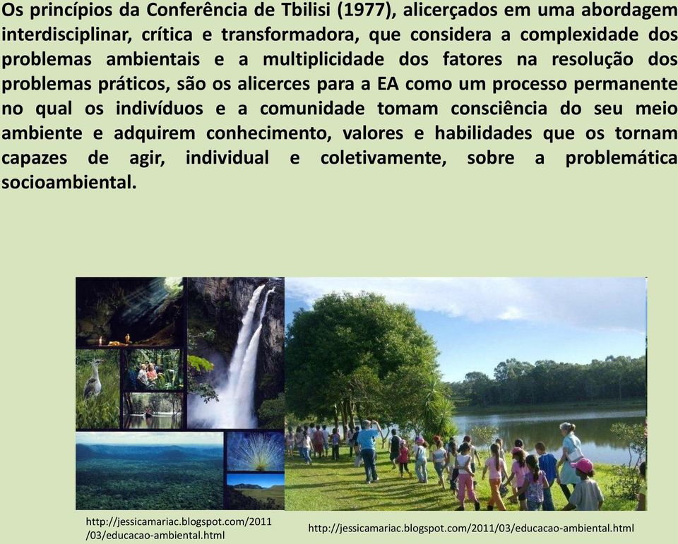 indivíduos e a comunidade tomam consciência do seu meio ambiente e adquirem conhecimento, valores e habilidades que os tornam capazes de agir, individual e