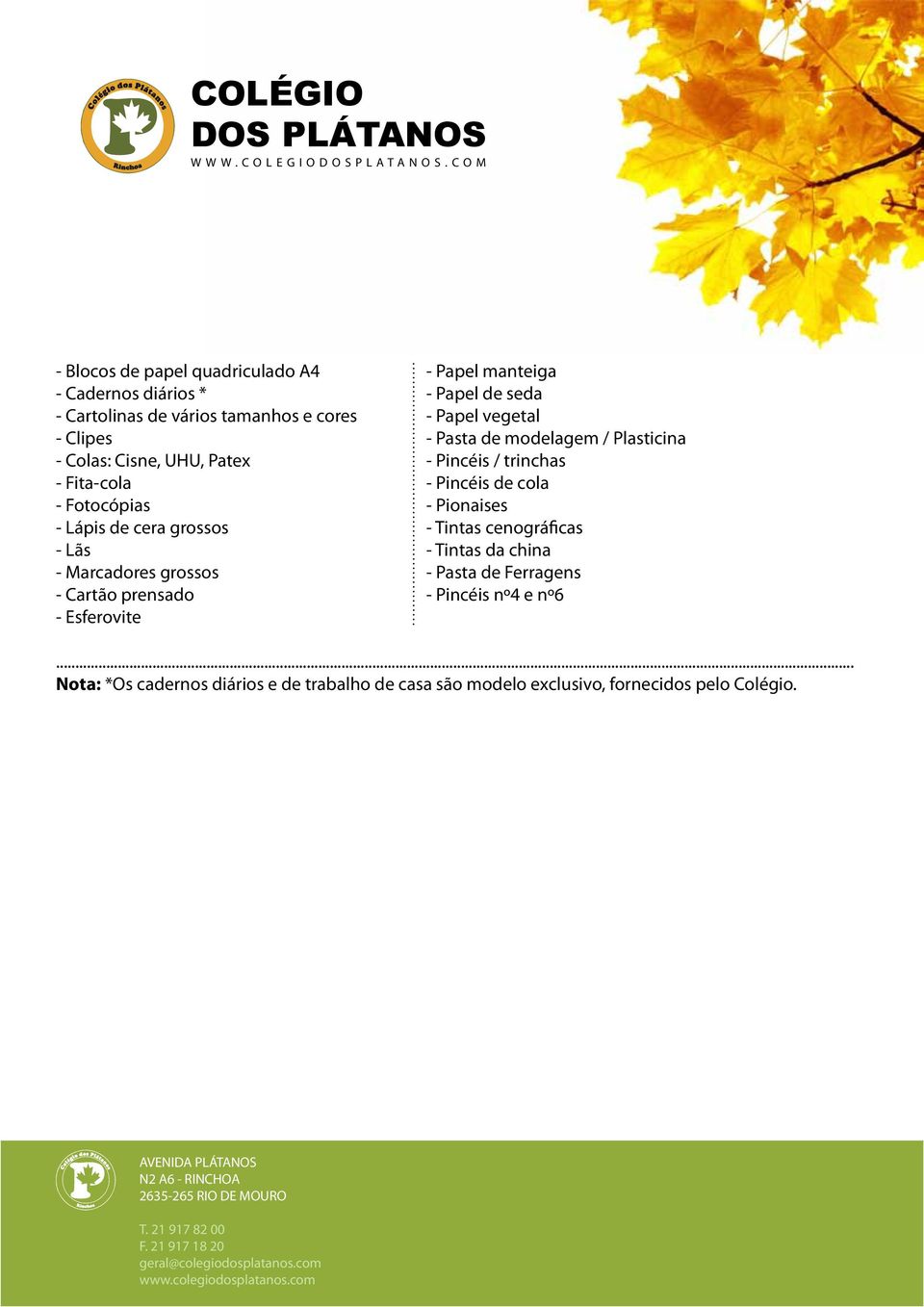 vegetal - Pasta de modelagem / Plasticina - Pincéis / trinchas - Pincéis de cola - Pionaises - Tintas cenográficas - Tintas da china -