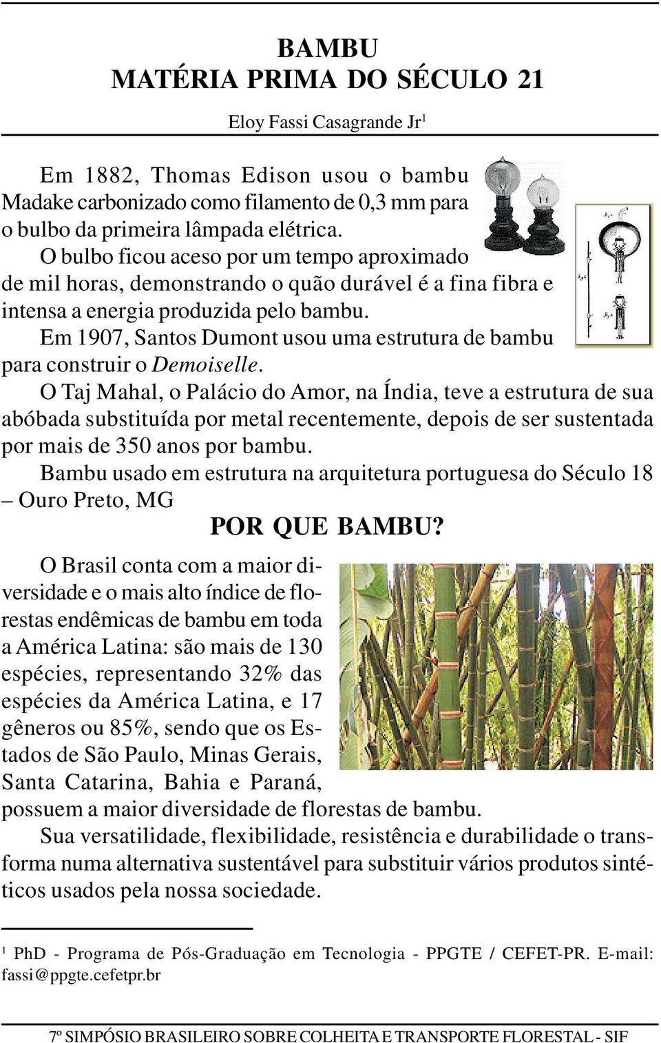 Em 1907, Santos Dumont usou uma estrutura de bambu para construir o Demoiselle.