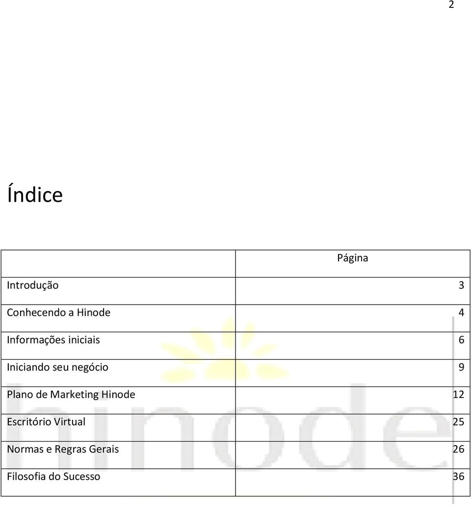 Plano de Marketing Hinode 12 Escritório Virtual