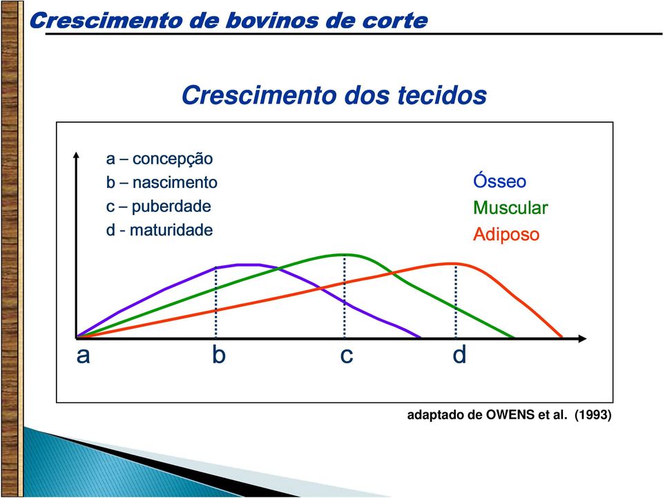 nascimento c puberdade d - maturidade