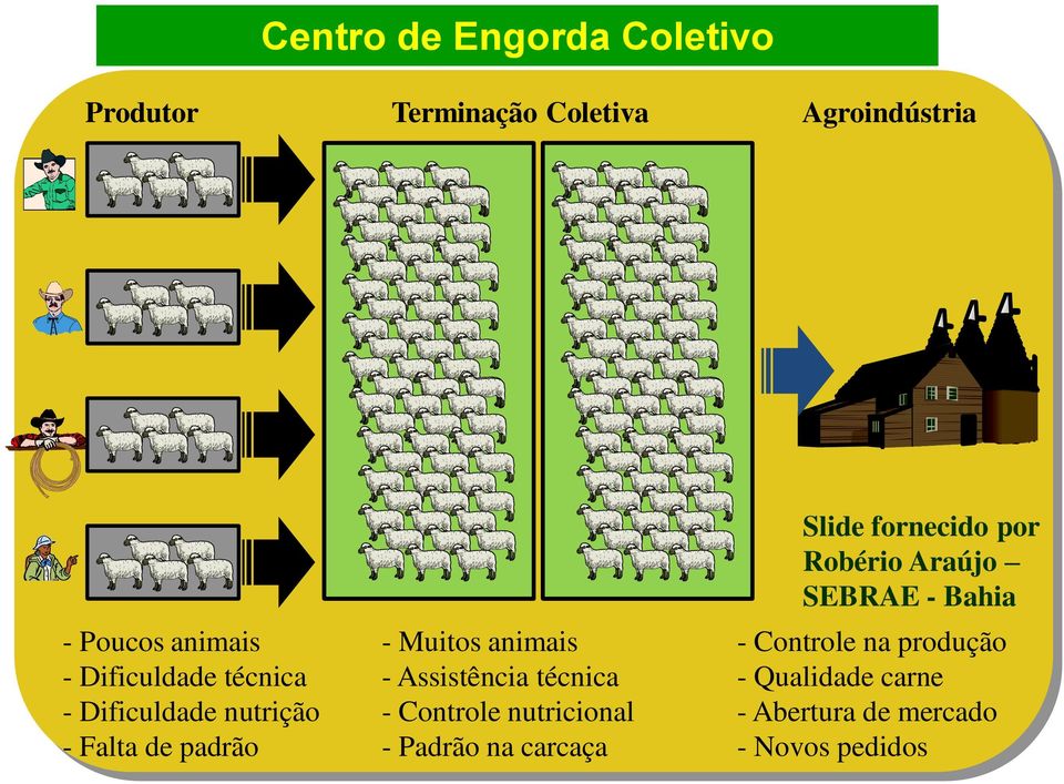 nutrição - Falta de padrão - Muitos animais - Assistência técnica - Controle nutricional