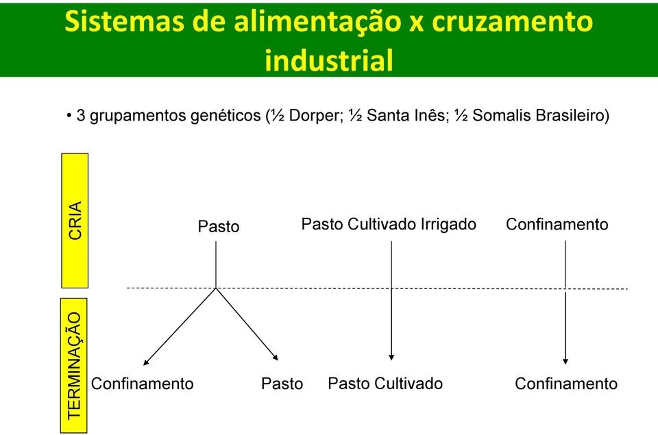 Inês; ½ Somalis Brasileiro) Pasto Pasto Cultivado