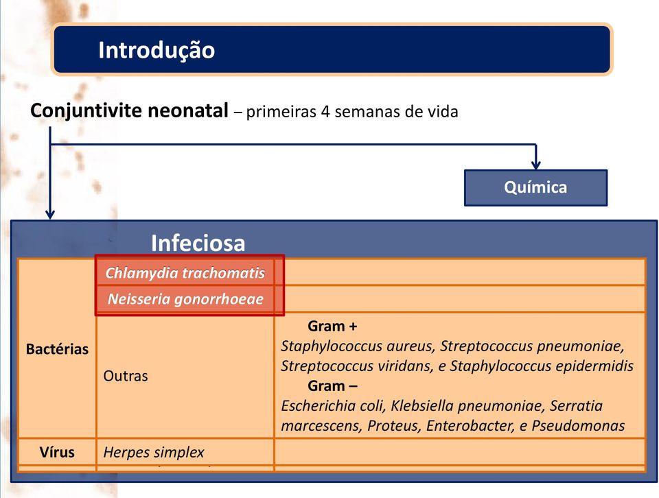 Streptococcus viridans, e Staphylococcus epidermidis Outras Gram Gram Escherichia coli, Klebsiella pneumoniae,