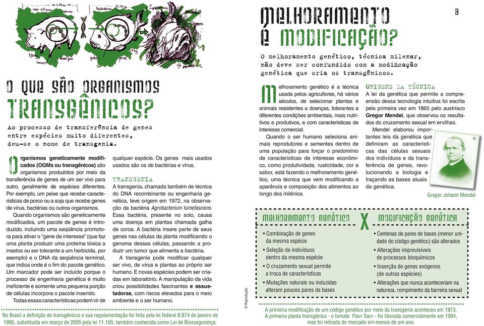 Por exemplo, um peixe que recebe características de porco ou a soja que recebe genes de vírus, bactérias ou outros organismos.