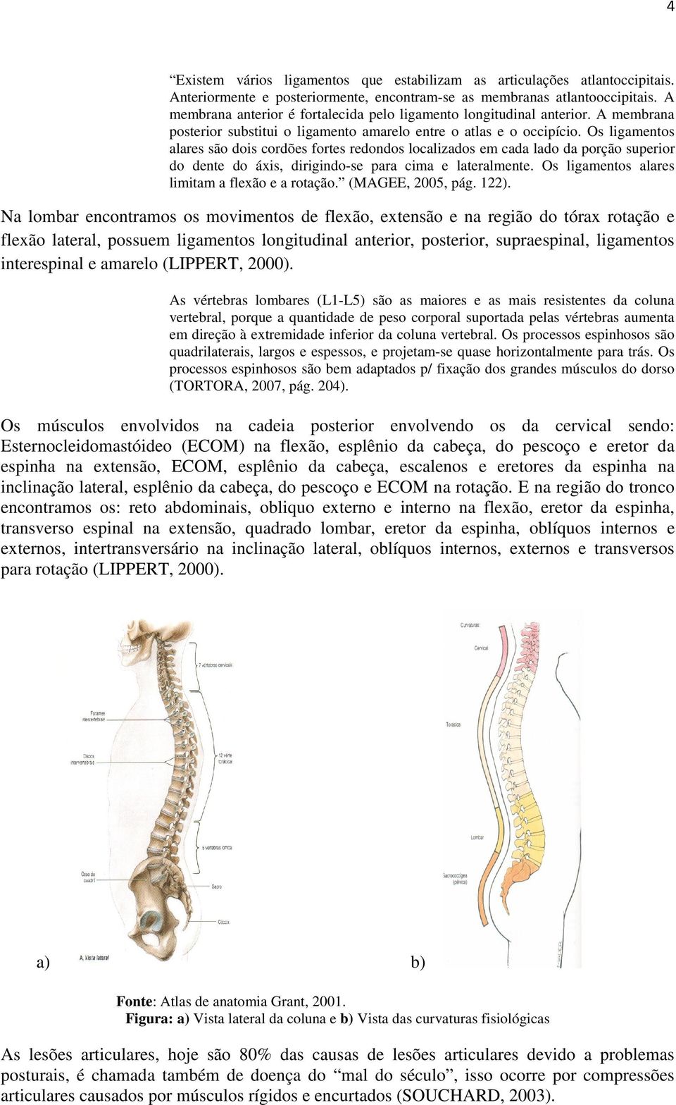 Os ligamentos alares são dois cordões fortes redondos localizados em cada lado da porção superior do dente do áxis, dirigindo-se para cima e lateralmente.