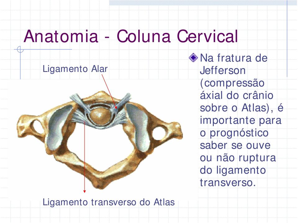 importante para o prognóstico saber se ouve ou não