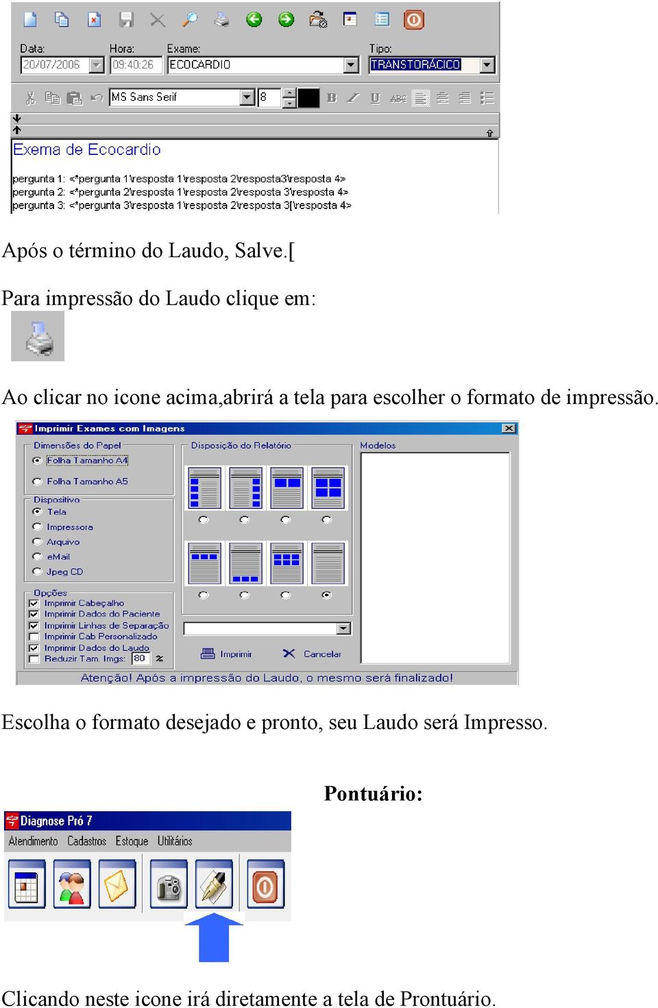 a tela para escolher o formato de impressão.