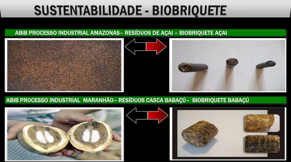 ABIB PROCESSO INDUSTRIAL MARANHÃO