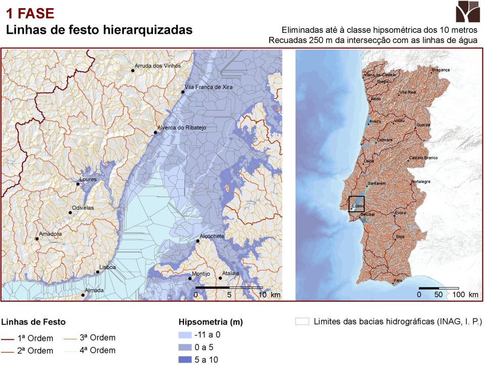 classe hipsométrica dos 10 metros