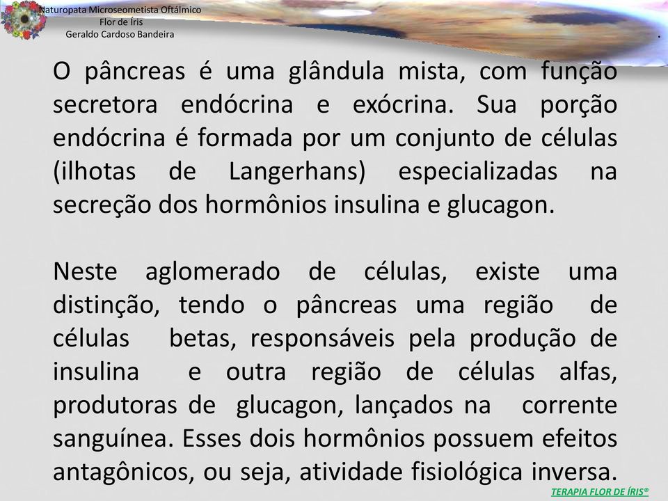 distinção, tendo o pâncreas uma região de células betas, responsáveis pela produção de insulina e outra região de células alfas,