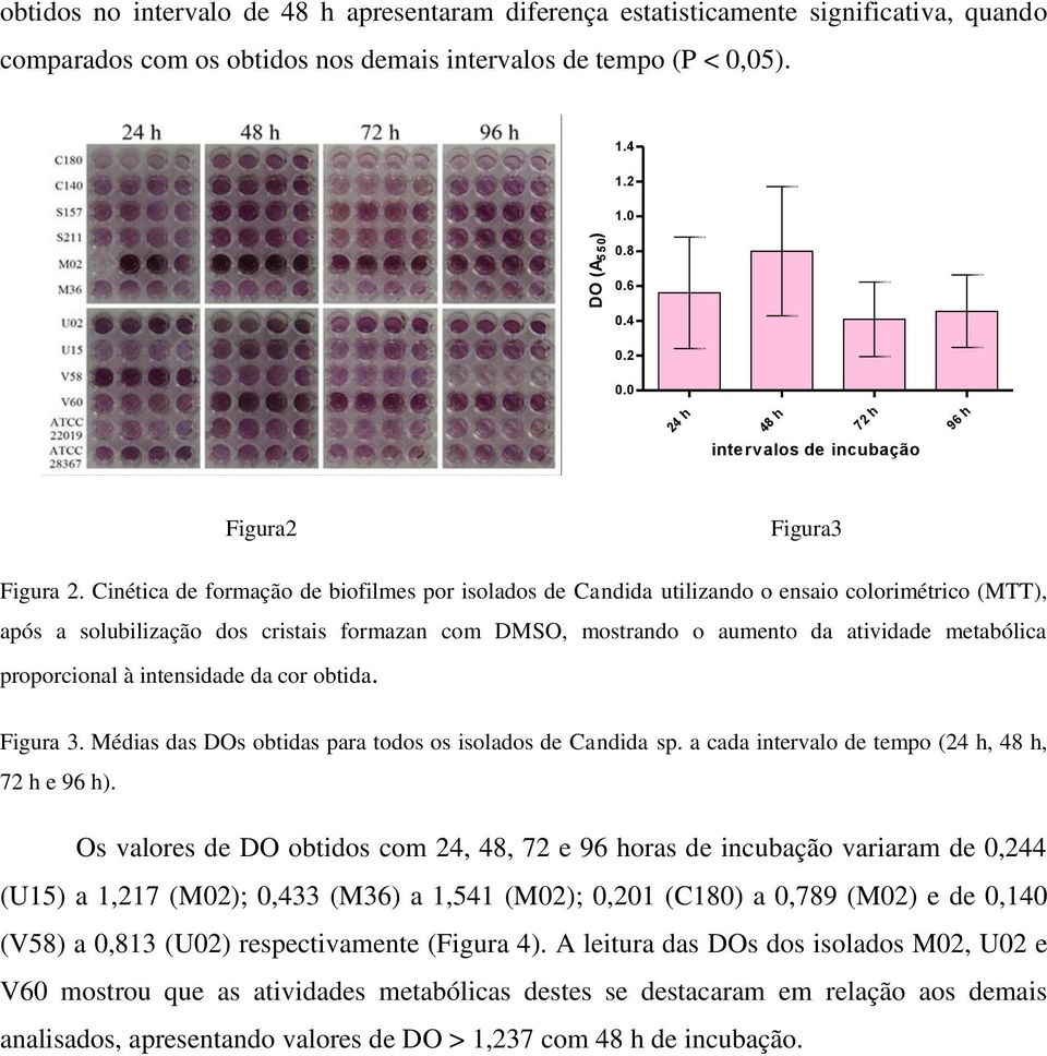 Cinética de formação de biofilmes por isolados de Candida utilizando o ensaio colorimétrico (MTT), após a solubilização dos cristais formazan com DMSO, mostrando o aumento da atividade metabólica