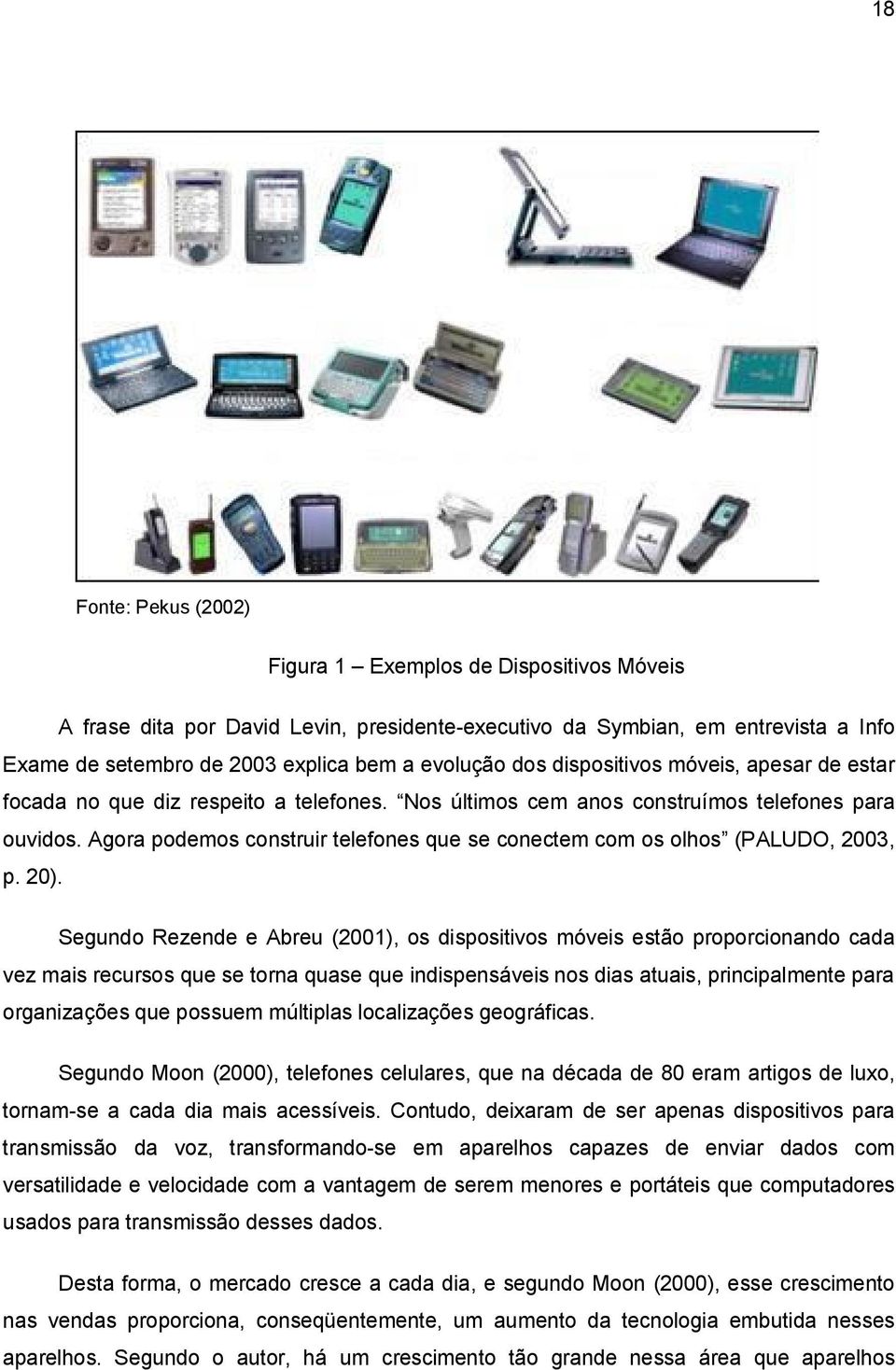 Agora podemos construir telefones que se conectem com os olhos (PALUDO, 2003, p. 20).