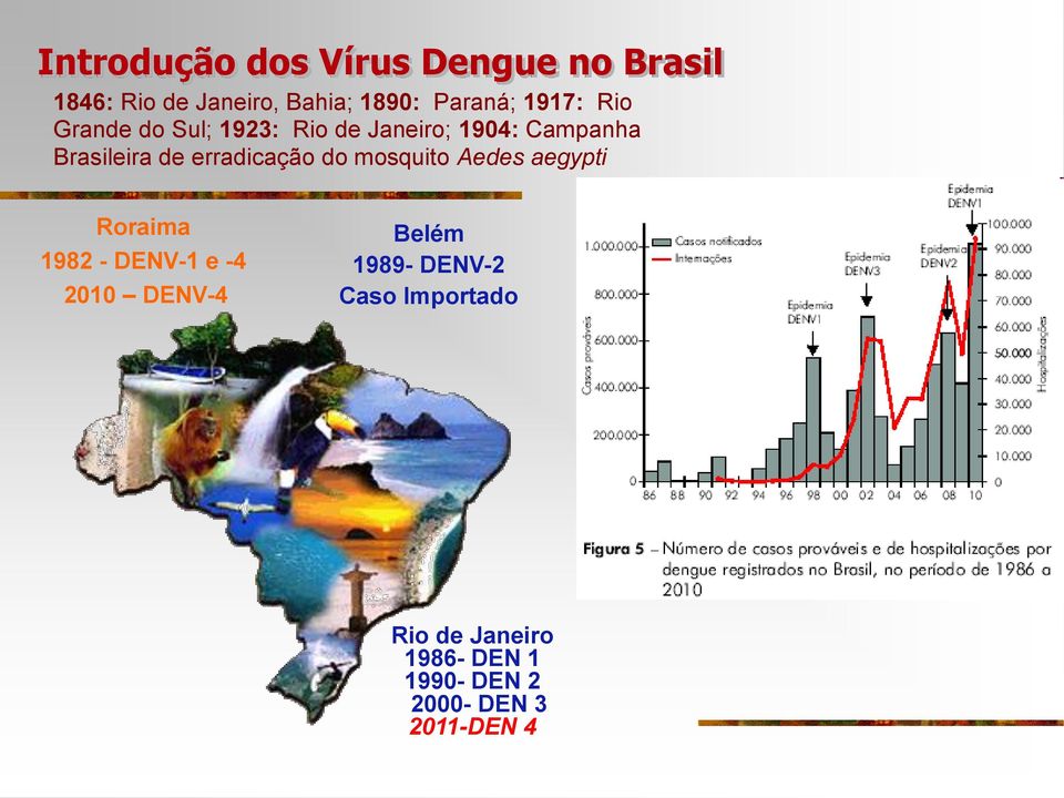 erradicação do mosquito Aedes aegypti Roraima 1982 - DENV-1 e -4 2010 DENV-4 Belém