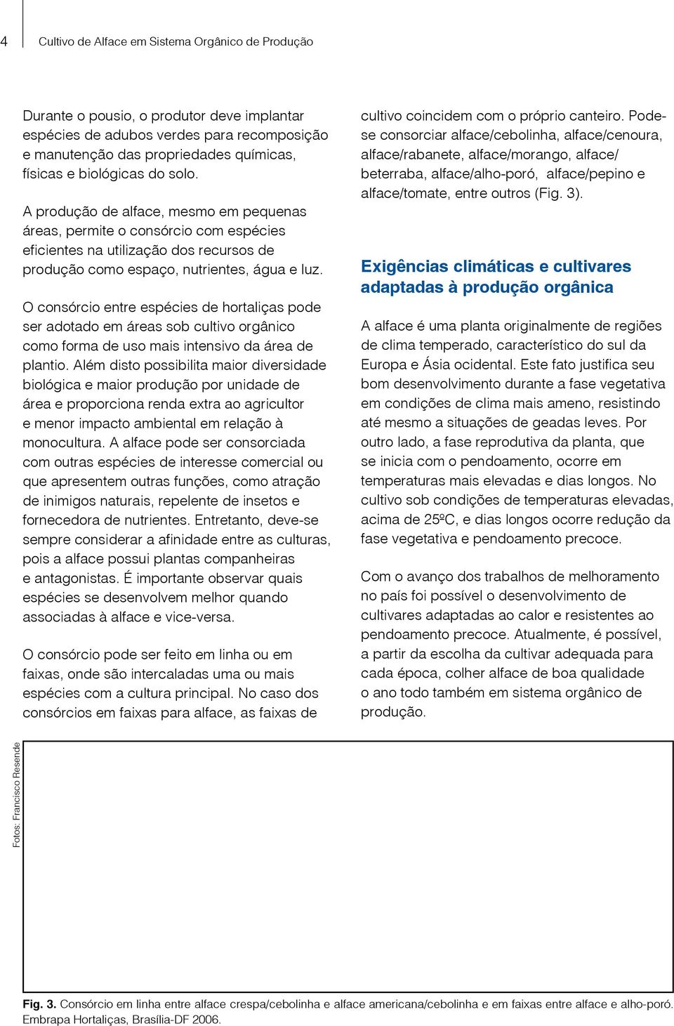 O consórcio entre espécies de hortaliças pode ser adotado em áreas sob cultivo orgânico como forma de uso mais intensivo da área de plantio.