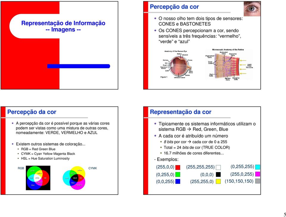 coloração.