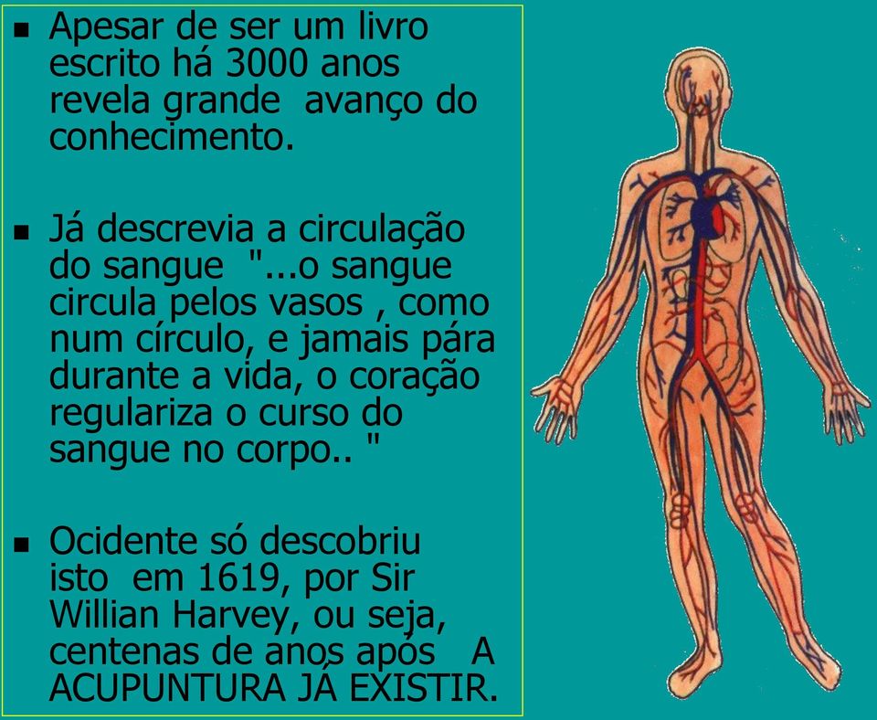 ..o sangue circula pelos vasos, como num círculo, e jamais pára durante a vida, o coração