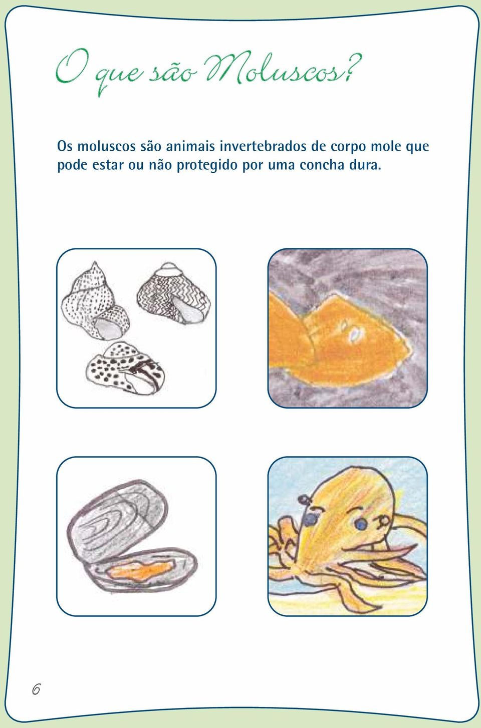 invertebrados de corpo mole que