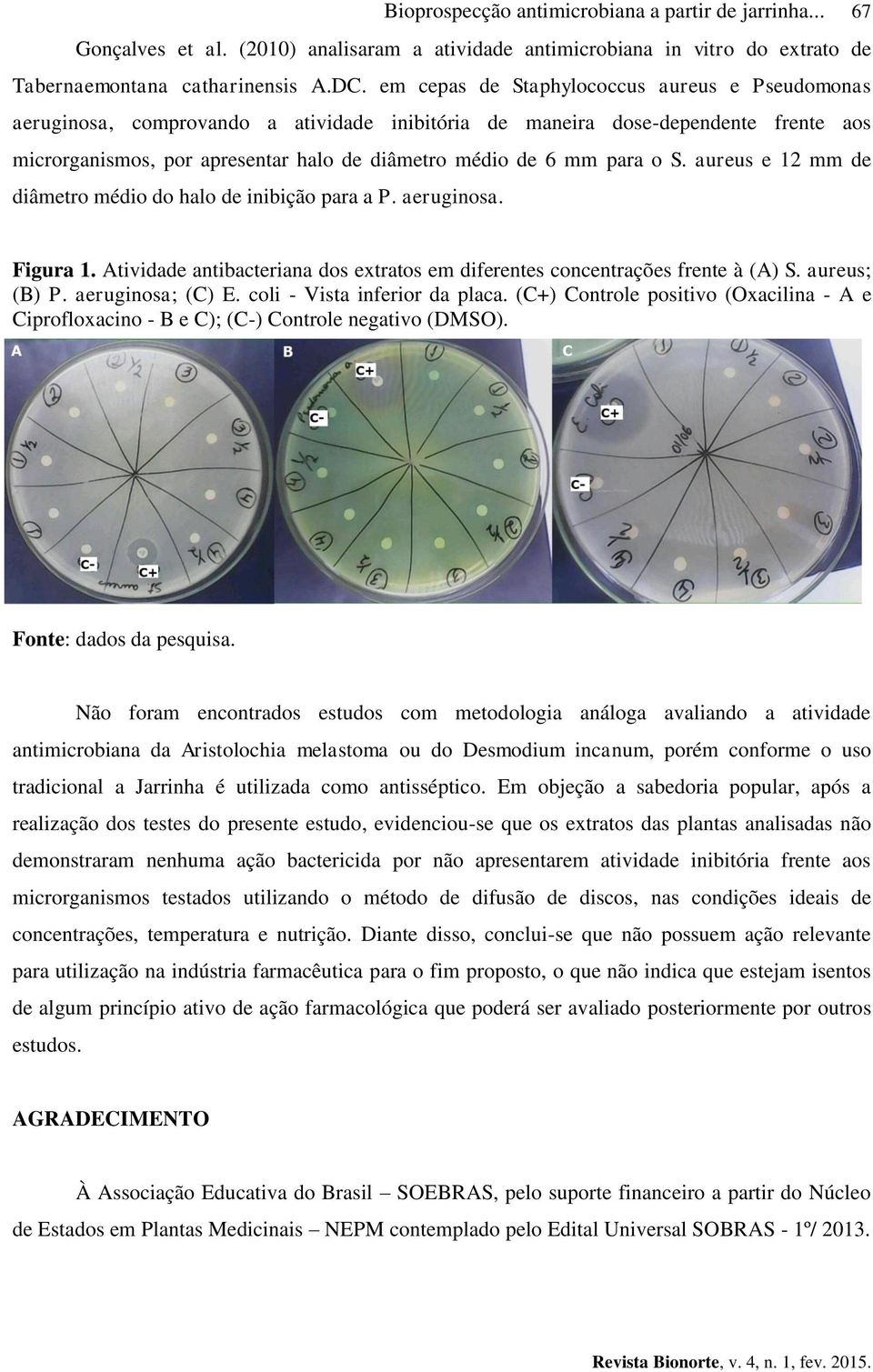 o S. aureus e 12 mm de diâmetro médio do halo de inibição para a P. aeruginosa. Figura 1. Atividade antibacteriana dos extratos em diferentes concentrações frente à (A) S. aureus; (B) P.