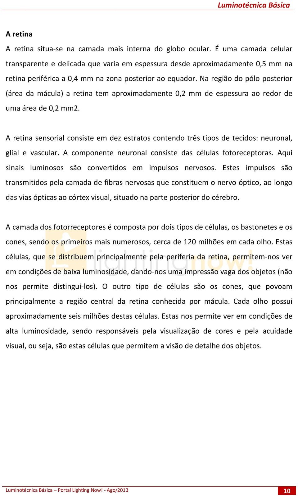 Na região do pólo posterior (área da mácula) a retina tem aproximadamente 0,2 mm de espessura ao redor de uma área de 0,2 mm2.