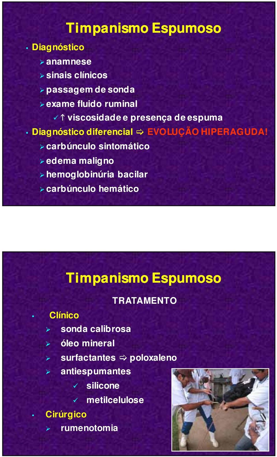 carbúnculo sintomático edema maligno hemoglobinúria bacilar carbúnculo hemático Clínico Timpanismo