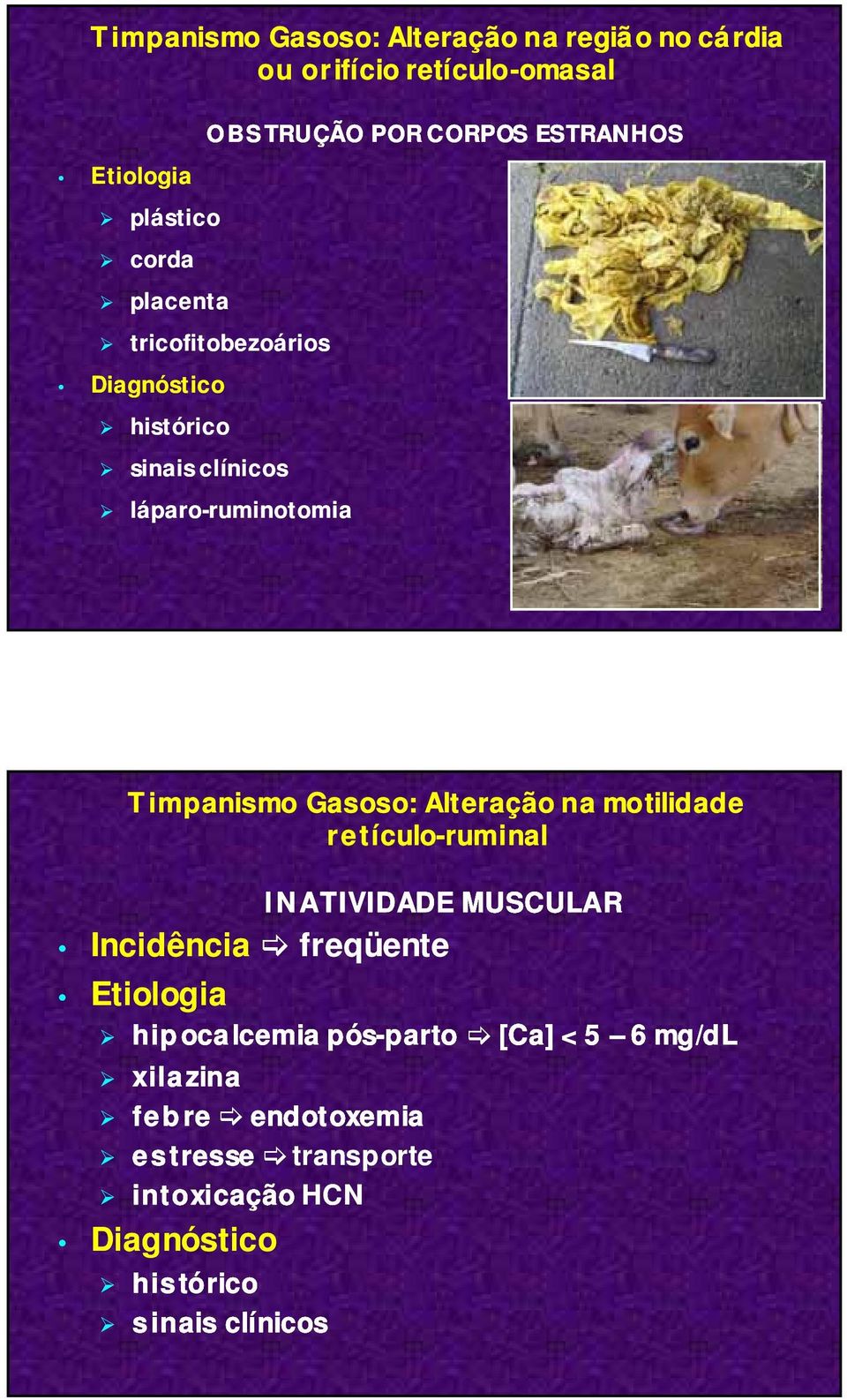 Gasoso: Alteração na motilidade retículo-ruminal INATIVIDADE MUSCULAR Incidência freqüente Etiologia hip ocalcemia