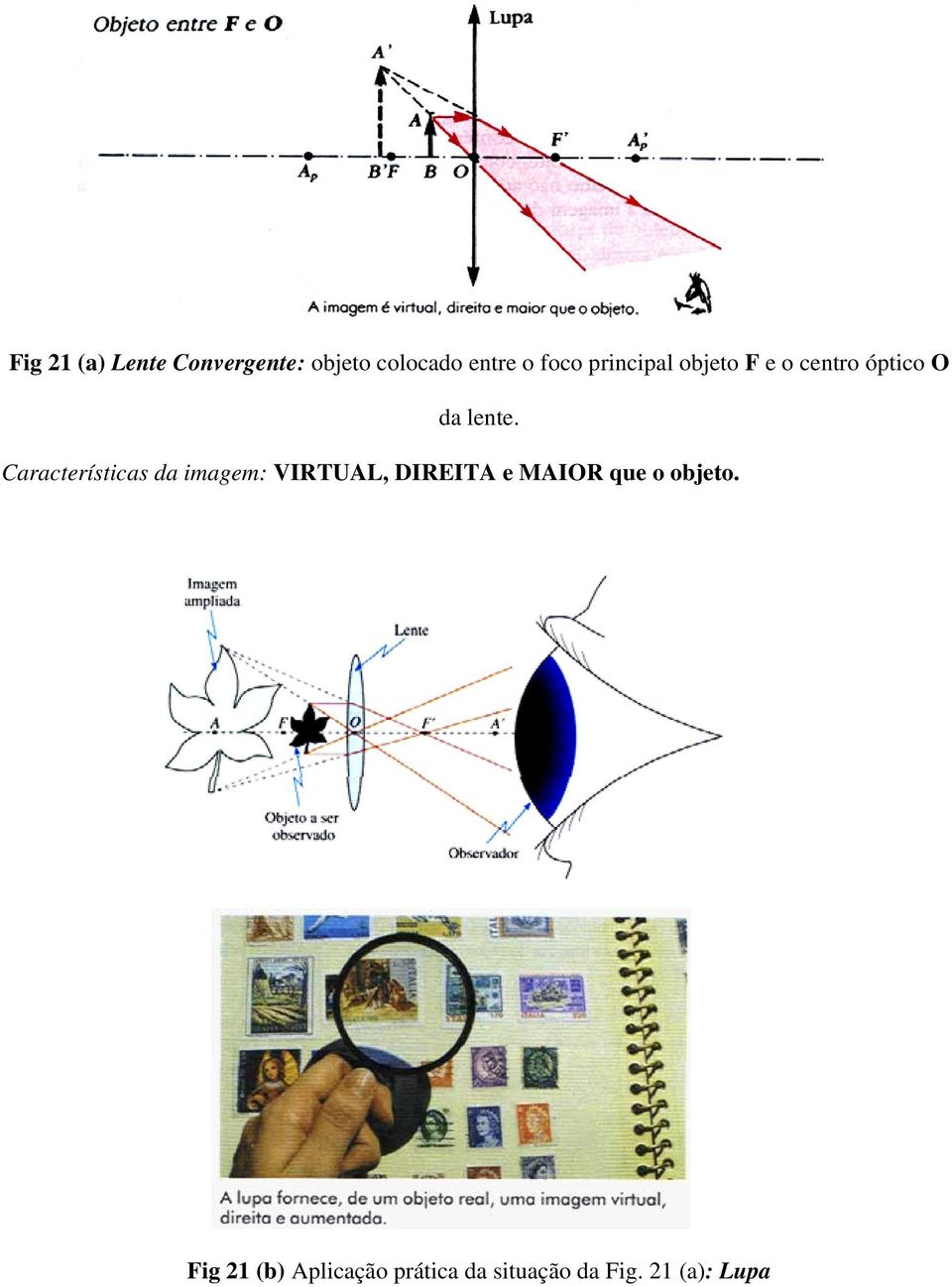 Características da imagem: VIRTUAL, DIREITA e MAIOR que o