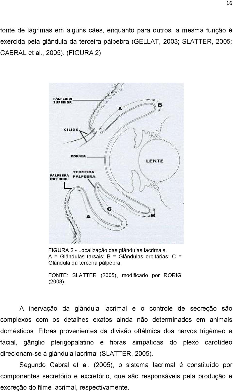 A inervação da glândula lacrimal e o controle de secreção são complexos com os detalhes exatos ainda não determinados em animais domésticos.