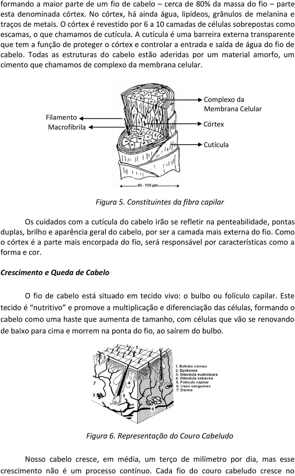 A cutícula é uma barreira externa transparente que tem a função de proteger o córtex e controlar a entrada e saída de água do fio de cabelo.